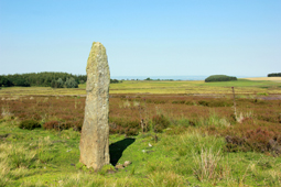 Dallow Moor boundary stone