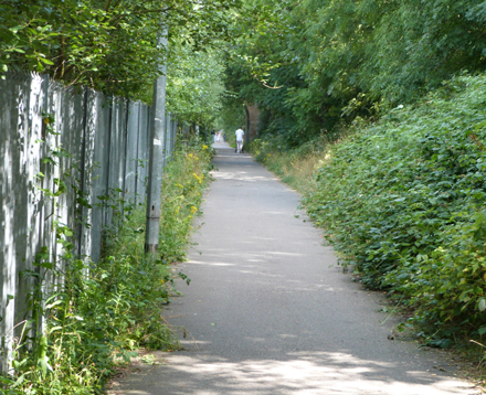 Dragon cycleway