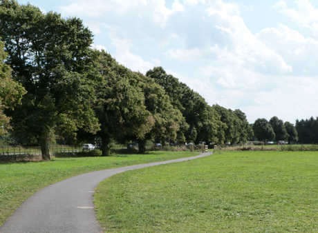 Path to Ripley