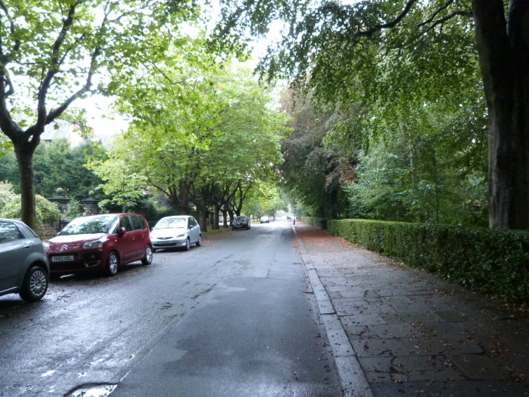 Park Avenue