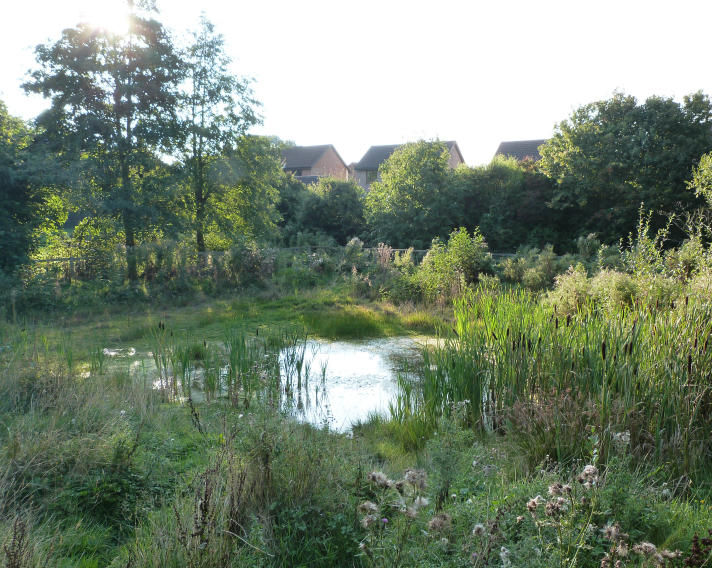 Rossett Local Nature Reserve