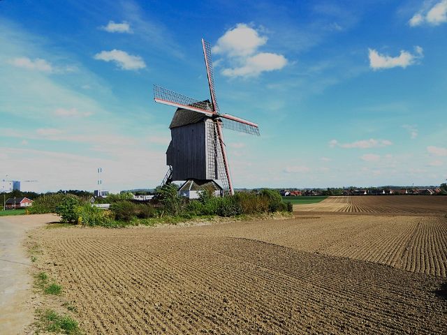 Windmill at Steenvoorde