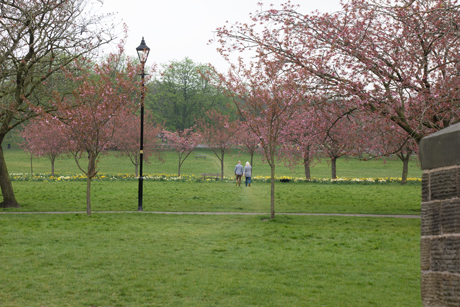 Path across the Stray to POW roundabout