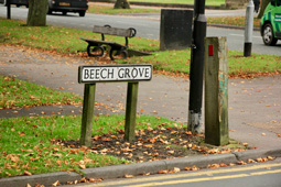 Beech Grove, Harrogate