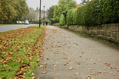 Beech Grove, Harrogate - footpath