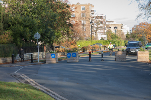 Cyclist on Beech Grove