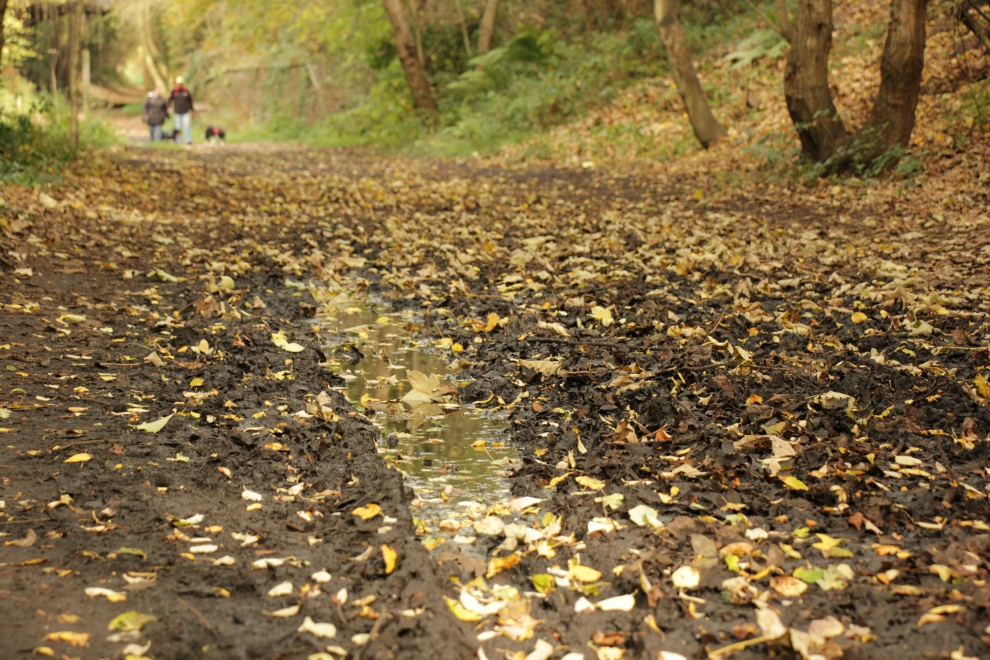Muddy section of Cinder Track near Whitby Muddy section of Cinder Track near Whitby