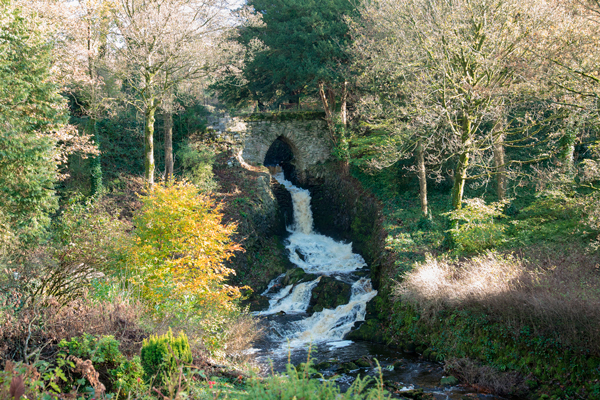 Clapham Falls, North Yorkshire