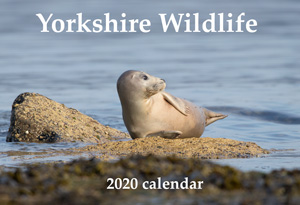 Yorkshire Wildlife Calendar 2020