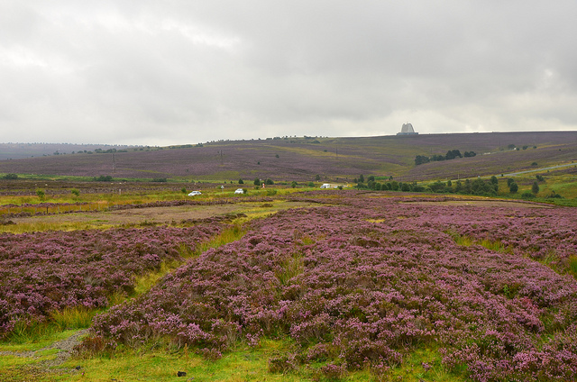 Fylingdales Moor