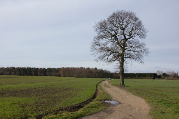Open fields after Hagg Farm