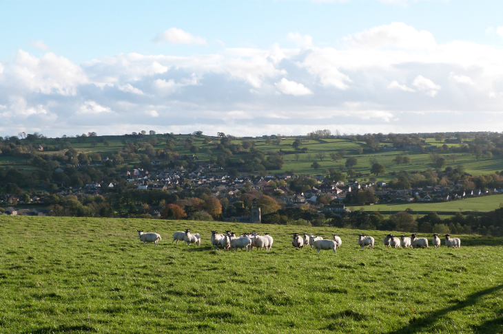 View of Hampsthwaite from Clint View of Hampsthwaite from Clint