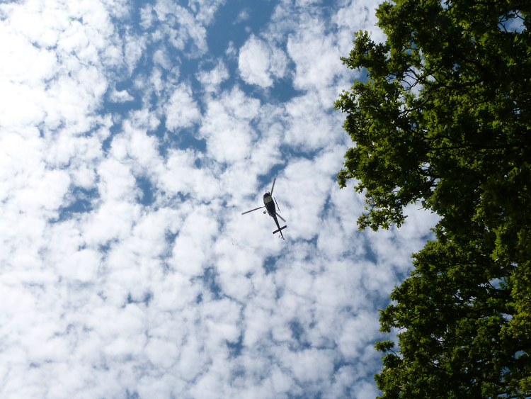 Helicopter at Harewood