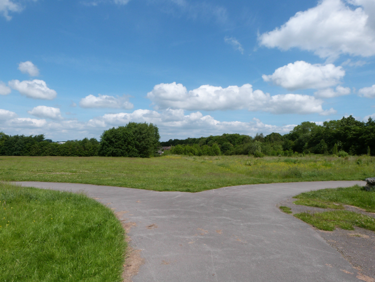 Fork in path in Stonefall Park