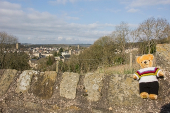 UCI World Champion bear, Richmond