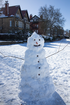 Snowperson, Harrogate Stray