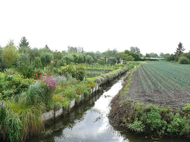 Hortillonages d'Amiens