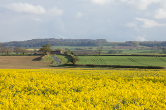 Howardian Hills