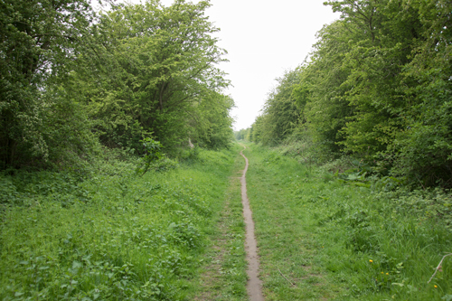 Single track section of the Hudson Way