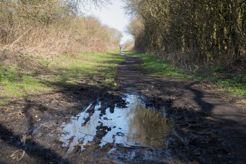 Mud and puddles on Hull-Hornsea Rail Trail