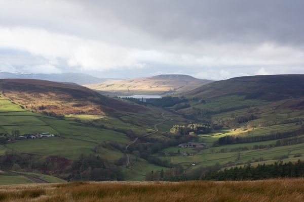 Upper Nidderdale