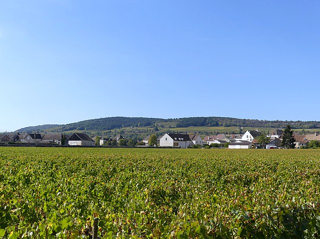 Meursault