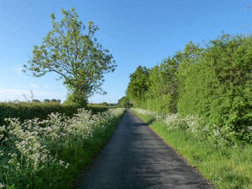 Country lane near Pickering Beck