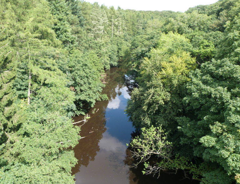 The Nidd Gorge from the Nidd Viaduct