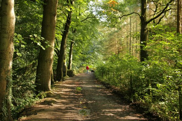 Nidd Walk, Pateley Bridge