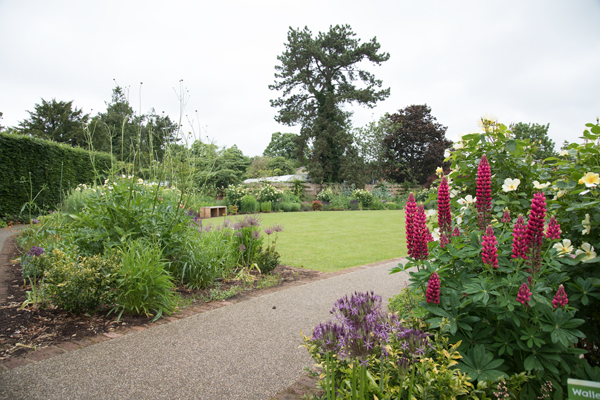 Walled Garden at Burnby Hall