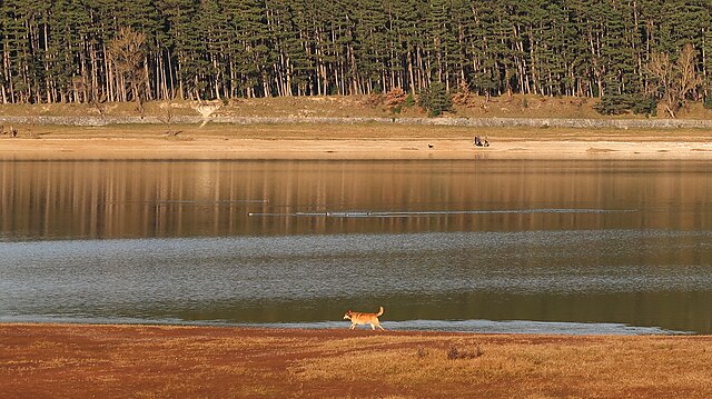 Lac de Saint-Ferréol
