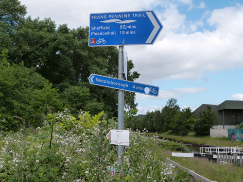 Tiny cardboard deviation sign, Blackburn Meadows