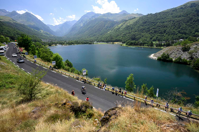 Sunflowers on Stage 12 TDF 2025