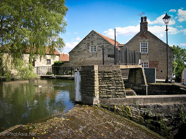Tickhill village pond