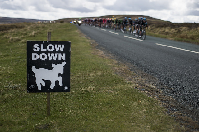 Tour de Yorkshire riders on the North York Moors