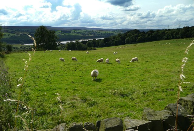 Underbank reservoir