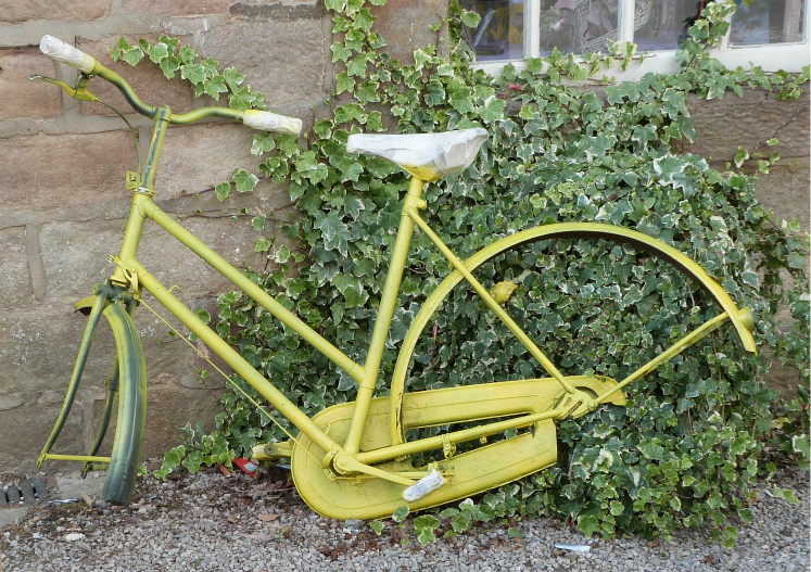 Yellow bike at Ripley