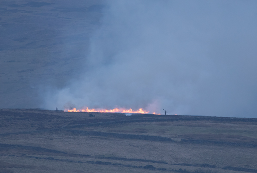 Fire set by grouse moor, taken from Greenhow Hill, March 2022