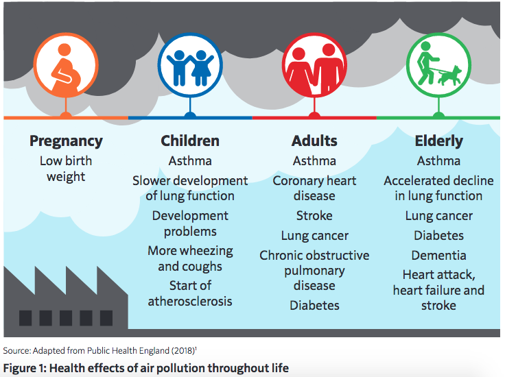 Health effects of air pollution