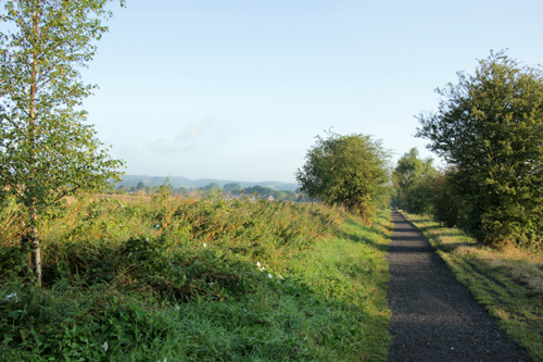 Cinder Track