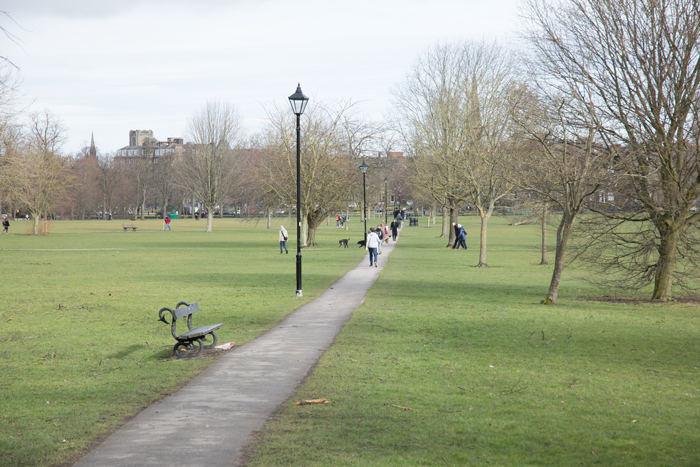 Harrogate Stray