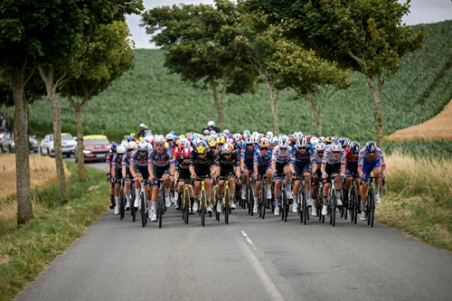 The peloton on Stage 2 Tour de France 2025, by A.S.O./Billy Ceusters