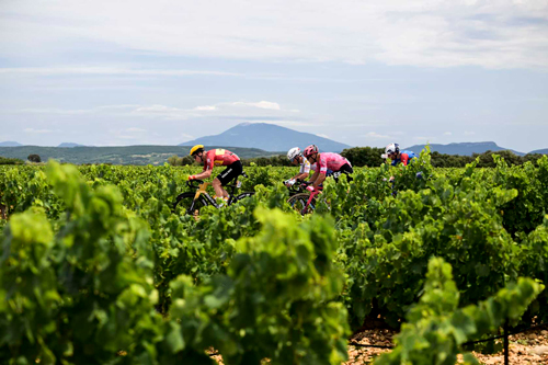 The four-man break on Stage 17 TDF 2025, by A.S.O./Charly Lopez