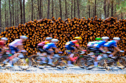Quick-Step into Bordeaux on Stage 7 The peloton in the Foret des Landes, by ASO/Charly Lopez